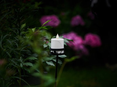 A Candle In The Garden