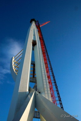 The Spinaker