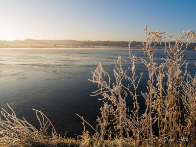 Early Morning Frost