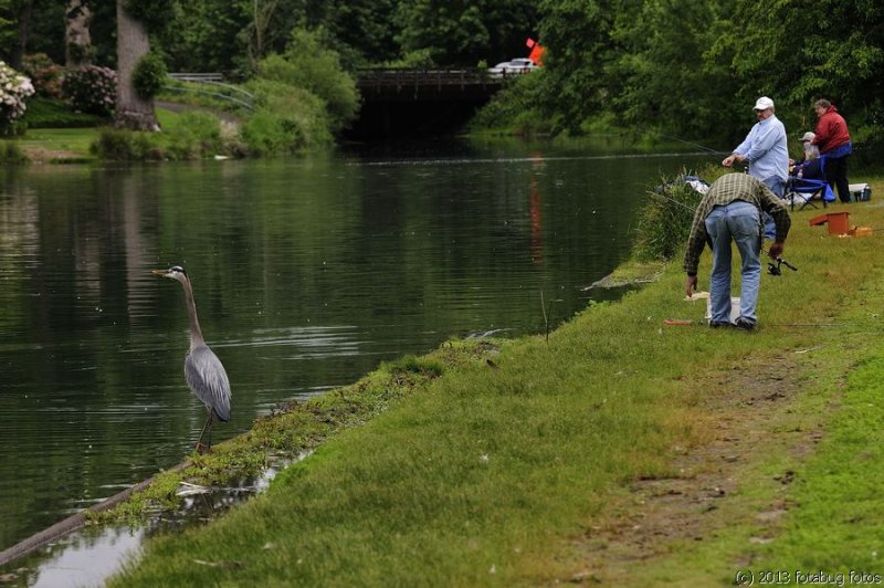Different place, different fishermen