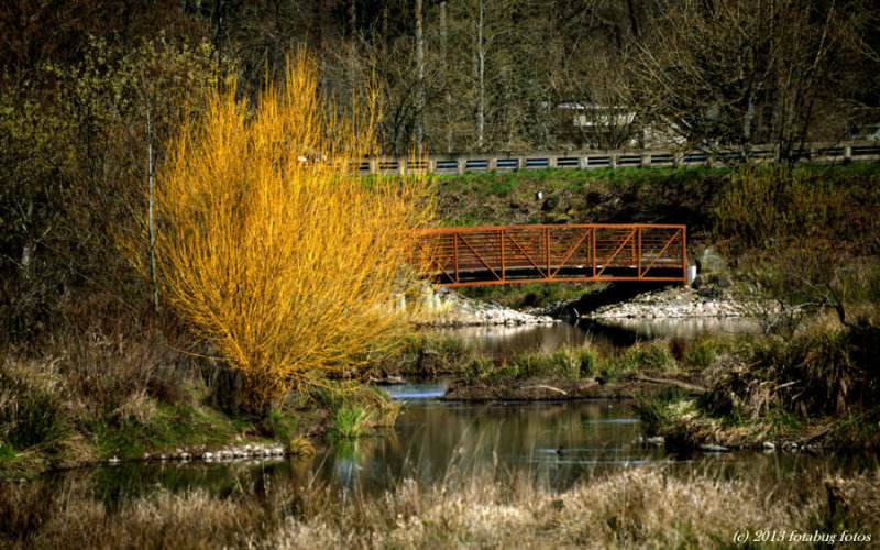 Delta Ponds
