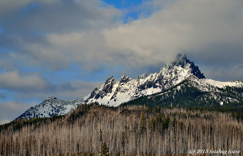 Three Fingered Jack, in The Oregon Cascades