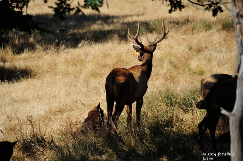 D3-071814-122-web.jpg
