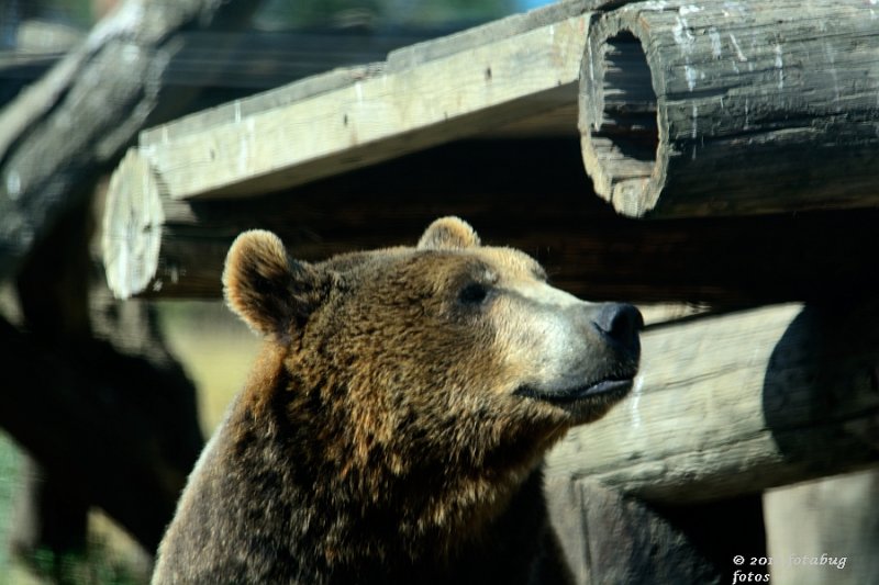 D7100-071814-243-web.jpg