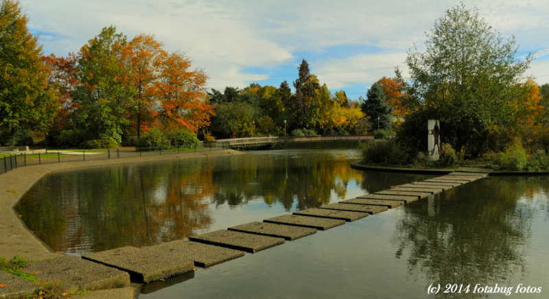 The Pond at Alton Baker park