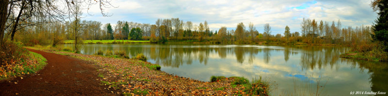 Panorama - Alton Baker Pond
