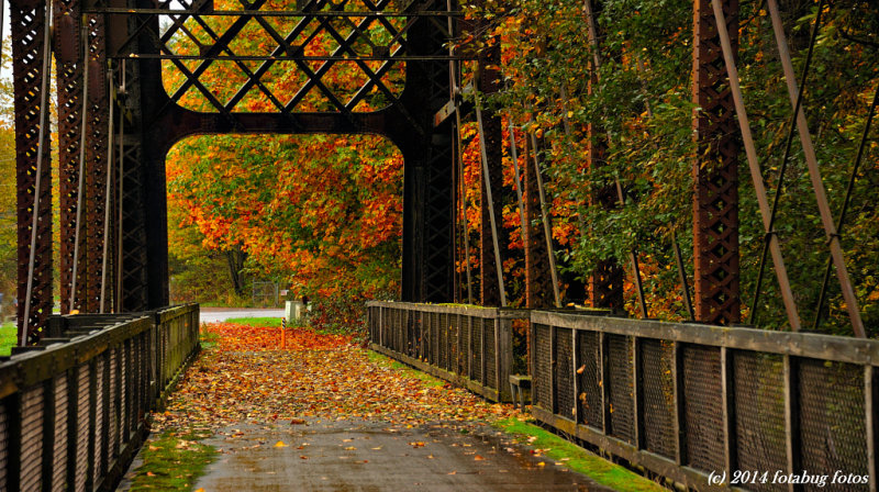 Fall Colors on the Armitage Bridge (Coburg Railroad Bridge)