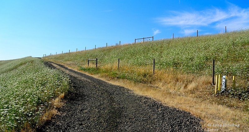 V1-073114-005-web.jpg