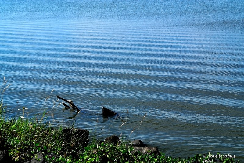 V1-073114-031-web.jpg