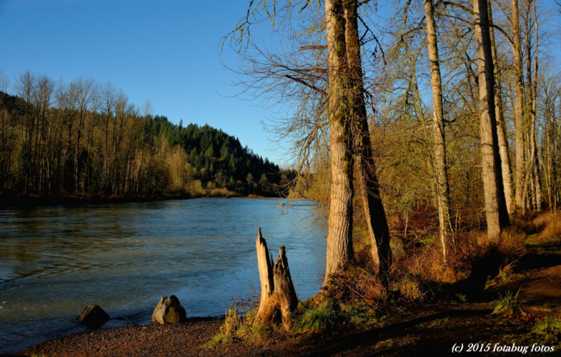 Willamette River at Clearwater Park