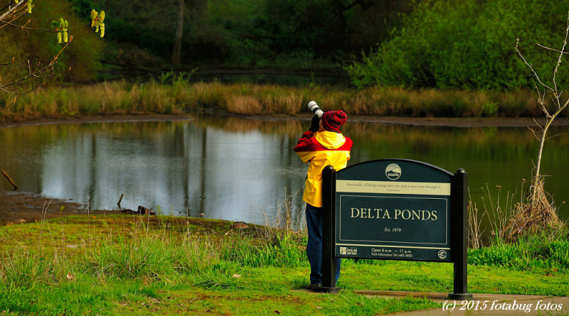 Delta Ponds - Great For Photographers