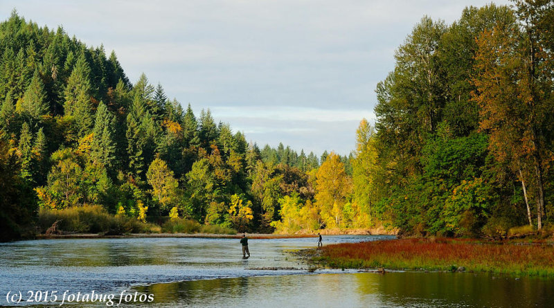Fishing the Willamette at Clearwater Park
