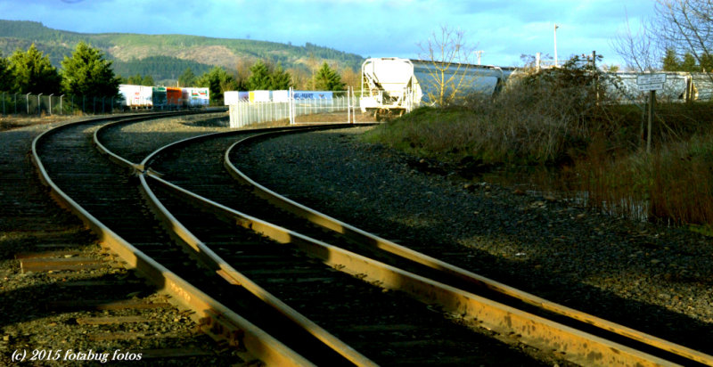 D1X-011815-040.jpg