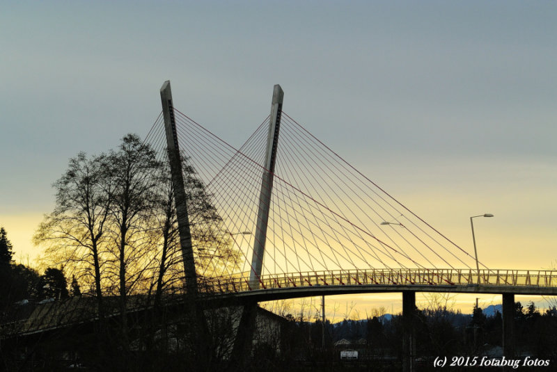 V1-010515-084.jpg