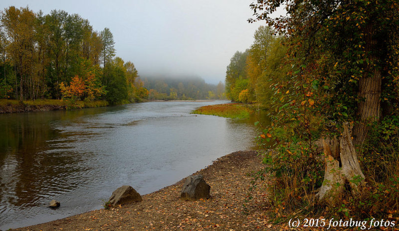 Fall Colors Along the Willamette River