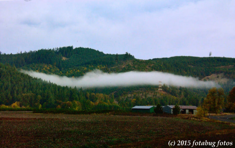 Low Cloud Nestled in the Coburg Hills