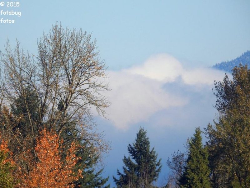 P900-112515-094.JPG