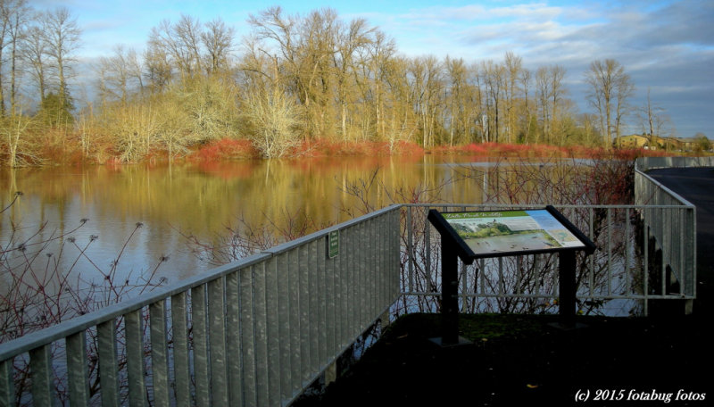 Viewing Area at Delta Ponds