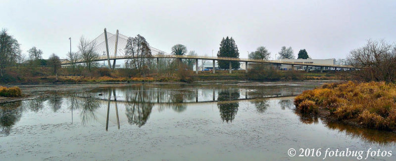 Delta Ponds Bridge