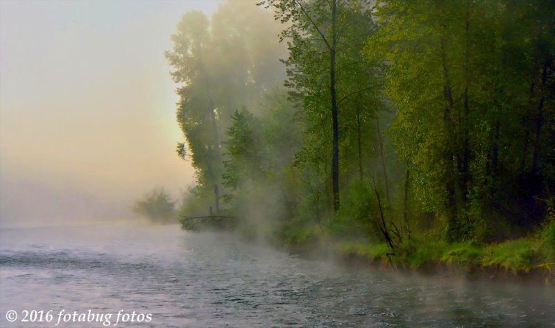 Foggy Morning on the River