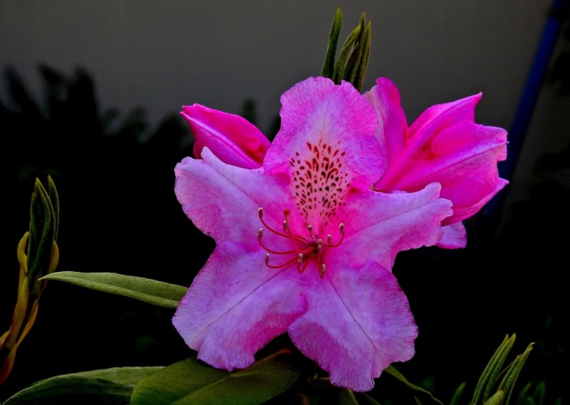 P900-041916-079.jpg