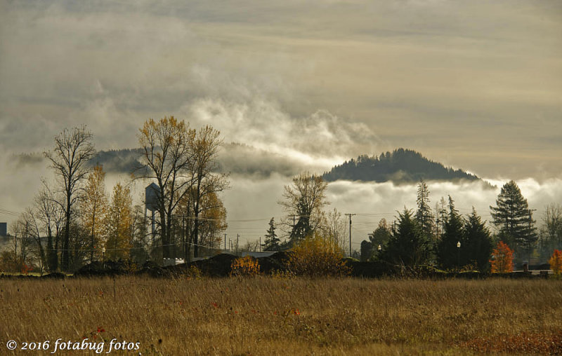 The Fog Bank