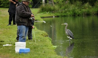 Ok, are you ready for your first fishing lesson?