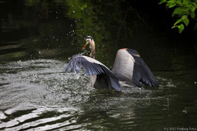 It's a bit embarrassing for an expert fisherman