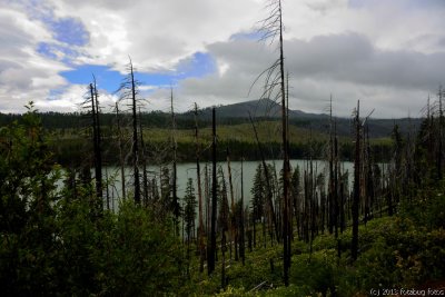 Suttle Lake