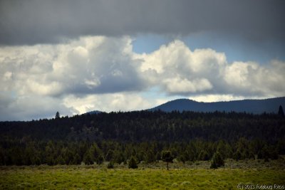 Dark Clouds over the Cascades