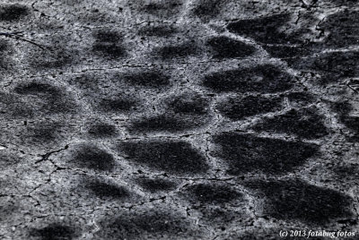V1-010713-129-.jpg