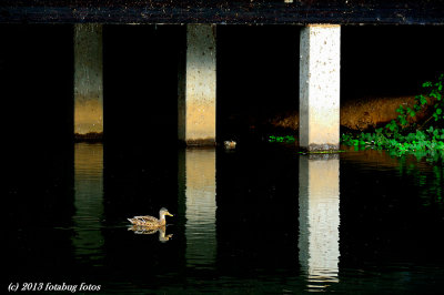 Under The Bridge
