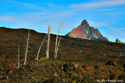 Mt Washington Rising Above The Lava Beds