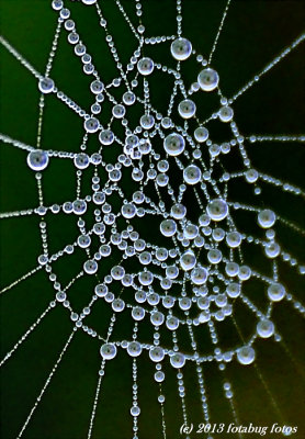 Natures Jewelry