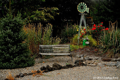 A Front Yard in the Neighborhood