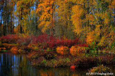 The Colors of Delta Ponds
