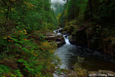 The beauty of Oregon
