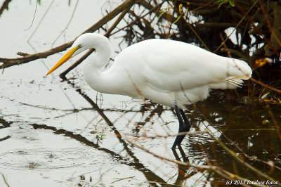 Fishing in the Ponds