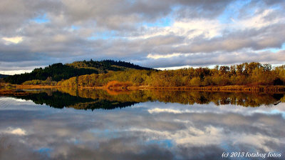 Reflection on Kirk Pond