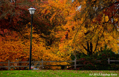 Alton Baker Park