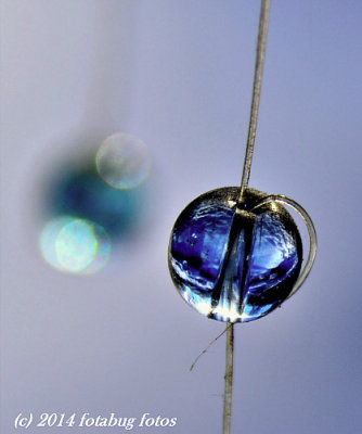 Orbiting