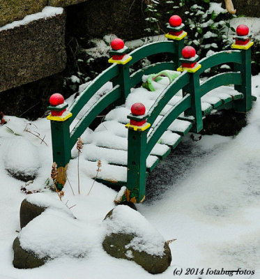 Snow Bridge