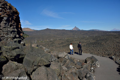 The Path to Dee Wright Observatory