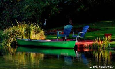 Color in the Backyard