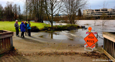 High Water Mark