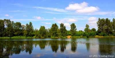 On The Pond
