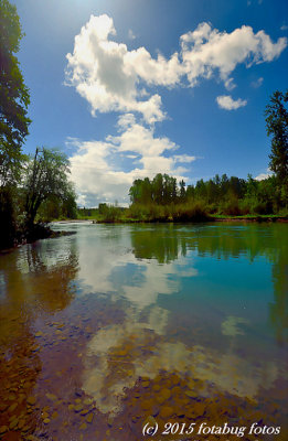 Willamette River at Clearwater Park