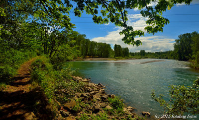 Trail Along The Willamette River