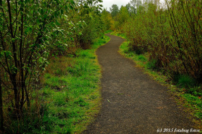Path at Delta Ponds