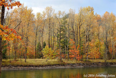 Fall Colors Along the Willamette River